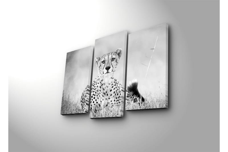 Canvasbilde Dekorativ 3 Deler - Flerfarget - Interiør - Maleri & posters - Lerretsbilder