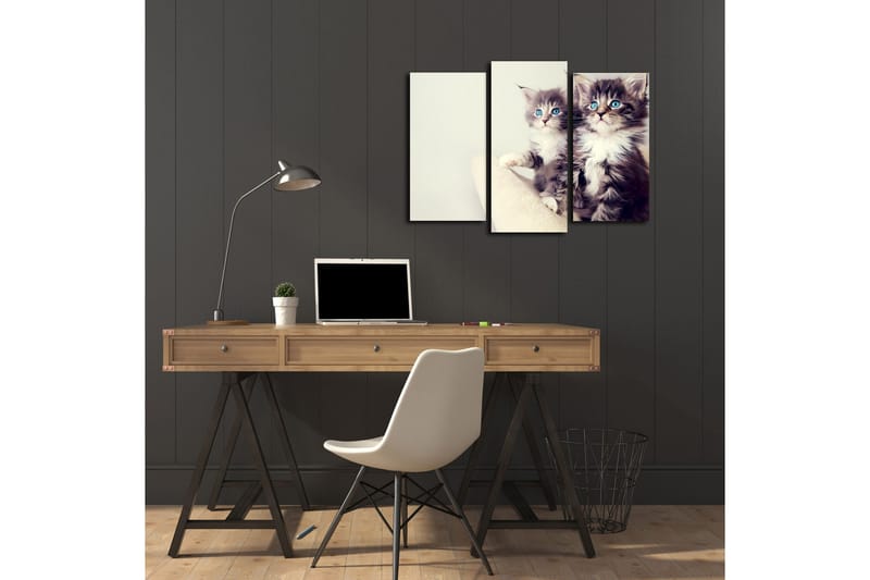 Canvasbilde Dekorativ 3 Deler - Flerfarget - Interiør - Maleri & posters - Lerretsbilder