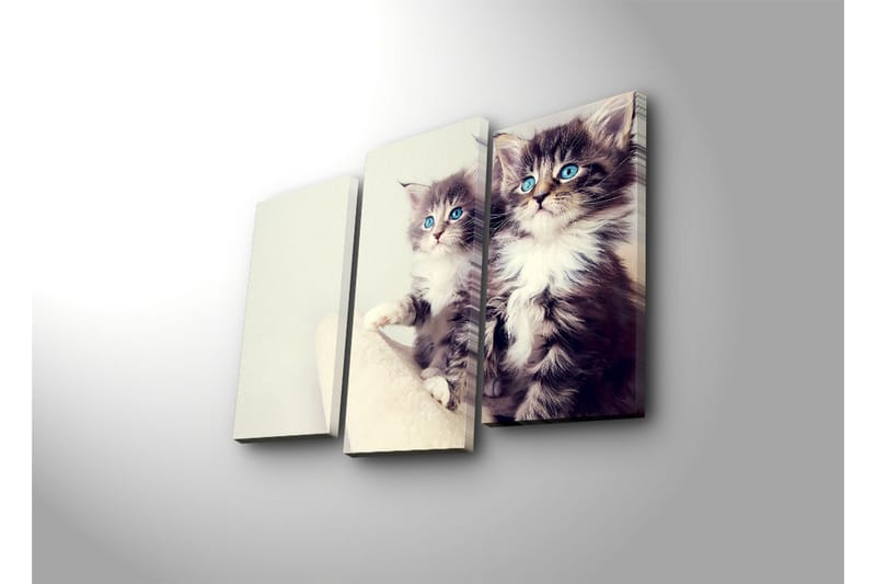 Canvasbilde Dekorativ 3 Deler - Flerfarget - Interiør - Maleri & posters - Lerretsbilder