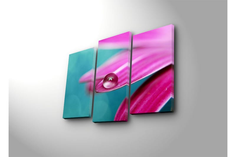 Canvasbilde Dekorativ 3 Deler - Flerfarget - Interiør - Maleri & posters - Lerretsbilder