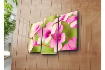 Canvasbilde Dekorativ 3 Deler - Flerfarget - Interiør - Maleri & posters - Lerretsbilder