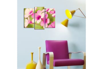Canvasbilde Dekorativ 3 Deler - Flerfarget - Interiør - Maleri & posters - Lerretsbilder