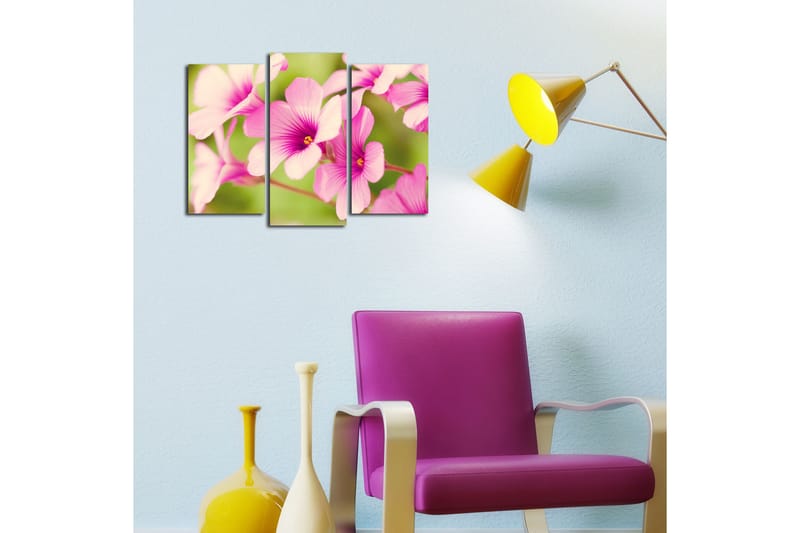 Canvasbilde Dekorativ 3 Deler - Flerfarget - Interiør - Maleri & posters - Lerretsbilder