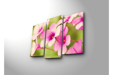 Canvasbilde Dekorativ 3 Deler - Flerfarget - Interiør - Maleri & posters - Lerretsbilder