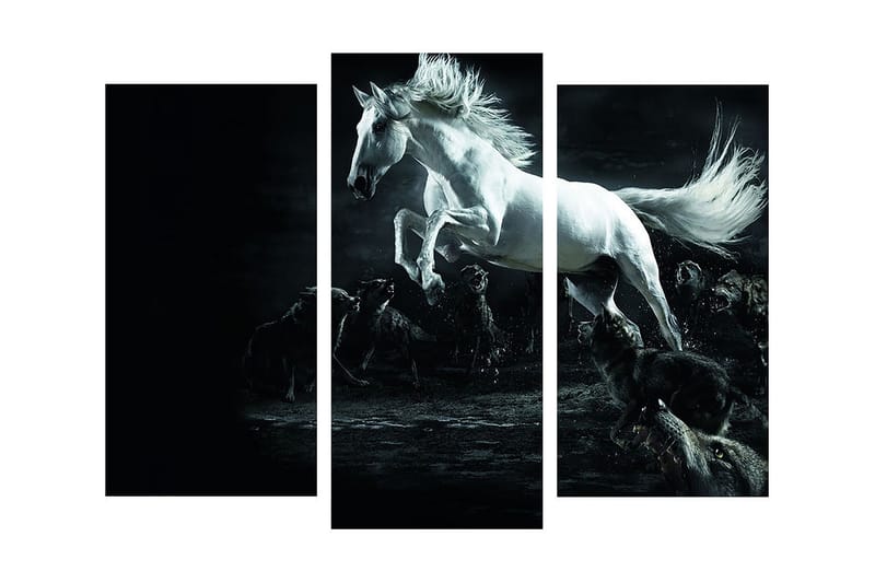 Canvasbilde Dekorativ 3 Deler - Flerfarget - Interiør - Maleri & posters - Lerretsbilder