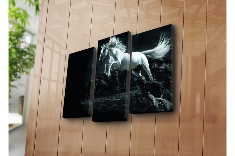 Canvasbilde Dekorativ 3 Deler - Flerfarget - Interiør - Maleri & posters - Lerretsbilder
