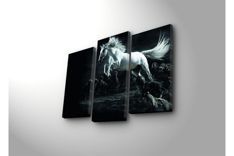 Canvasbilde Dekorativ 3 Deler - Flerfarget - Interiør - Maleri & posters - Lerretsbilder