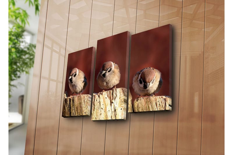 Canvasbilde Dekorativ 3 Deler - Flerfarget - Interiør - Maleri & posters - Lerretsbilder