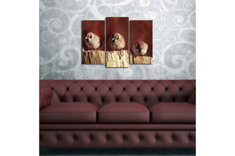 Canvasbilde Dekorativ 3 Deler - Flerfarget - Interiør - Maleri & posters - Lerretsbilder