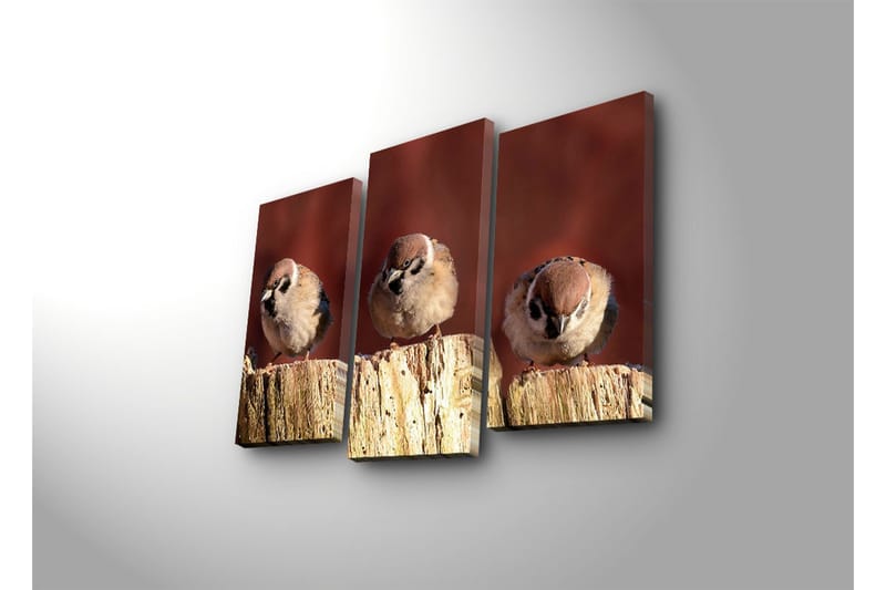 Canvasbilde Dekorativ 3 Deler - Flerfarget - Interiør - Maleri & posters - Lerretsbilder