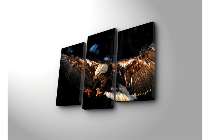 Canvasbilde Dekorativ 3 Deler - Flerfarget - Interiør - Maleri & posters - Lerretsbilder