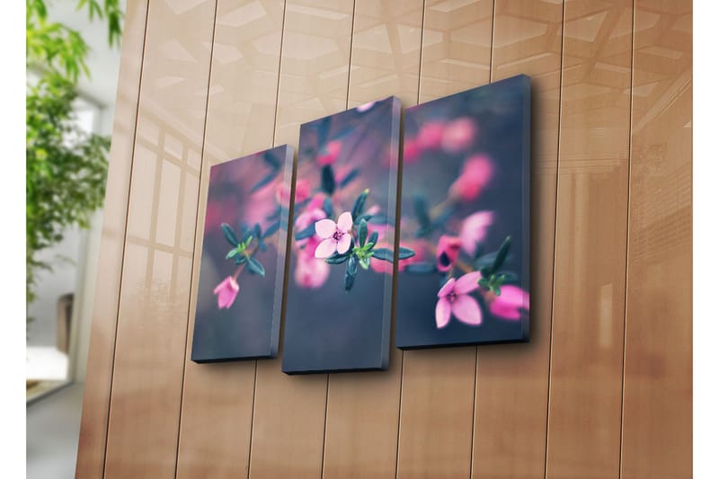 Canvasbilde Dekorativ 3 Deler - Flerfarget - Interiør - Maleri & posters - Lerretsbilder