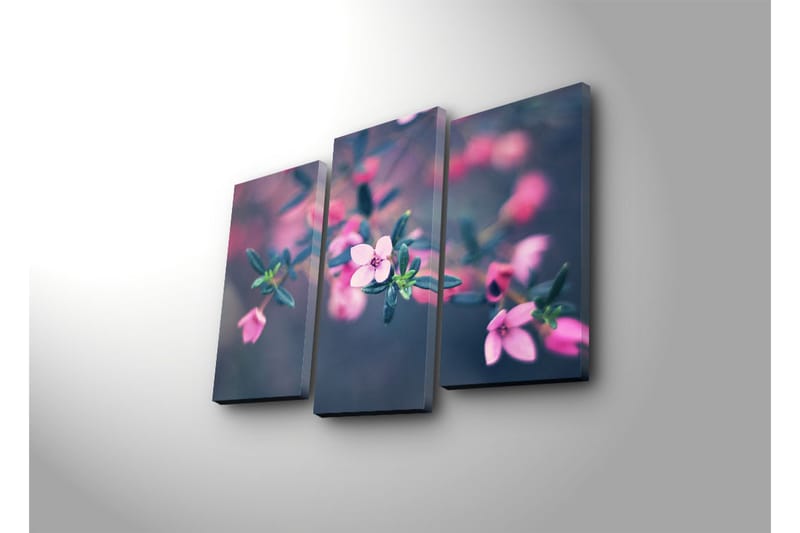 Canvasbilde Dekorativ 3 Deler - Flerfarget - Interiør - Maleri & posters - Lerretsbilder