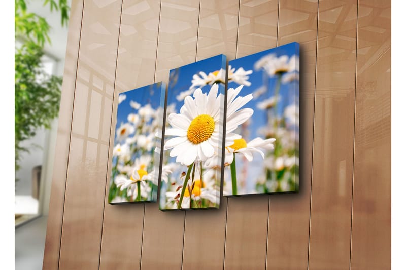 Canvasbilde Dekorativ 3 Deler - Flerfarget - Interiør - Maleri & posters - Lerretsbilder