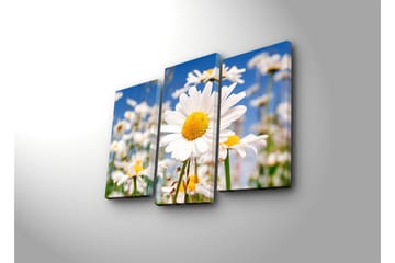 Canvasbilde Dekorativ 3 Deler - Flerfarget - Interiør - Maleri & posters - Lerretsbilder