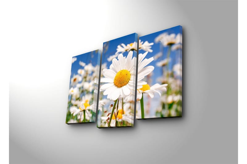 Canvasbilde Dekorativ 3 Deler - Flerfarget - Interiør - Maleri & posters - Lerretsbilder