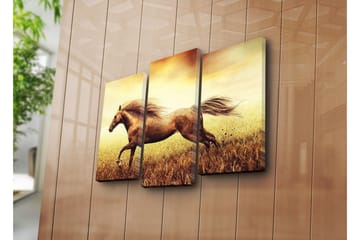 Canvasbilde Dekorativ 3 Deler - Flerfarget - Interiør - Maleri & posters - Lerretsbilder