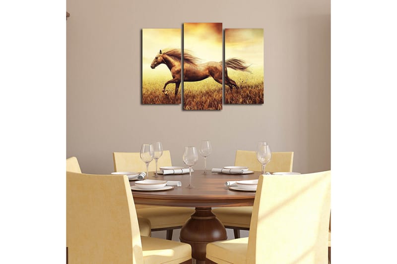 Canvasbilde Dekorativ 3 Deler - Flerfarget - Interiør - Maleri & posters - Lerretsbilder