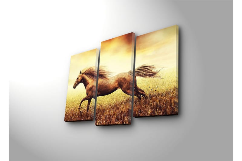 Canvasbilde Dekorativ 3 Deler - Flerfarget - Interiør - Maleri & posters - Lerretsbilder