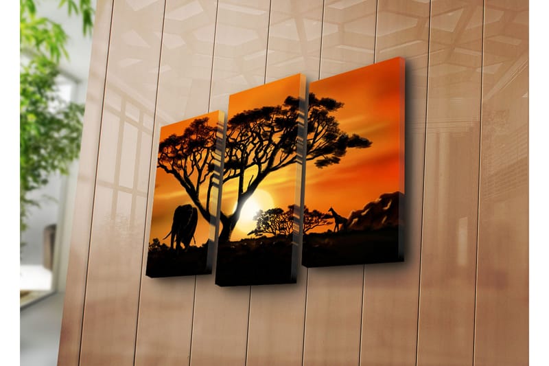 Canvasbilde Dekorativ 3 Deler - Flerfarget - Interiør - Maleri & posters - Lerretsbilder