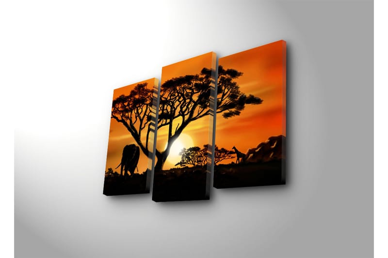 Canvasbilde Dekorativ 3 Deler - Flerfarget - Interiør - Maleri & posters - Lerretsbilder