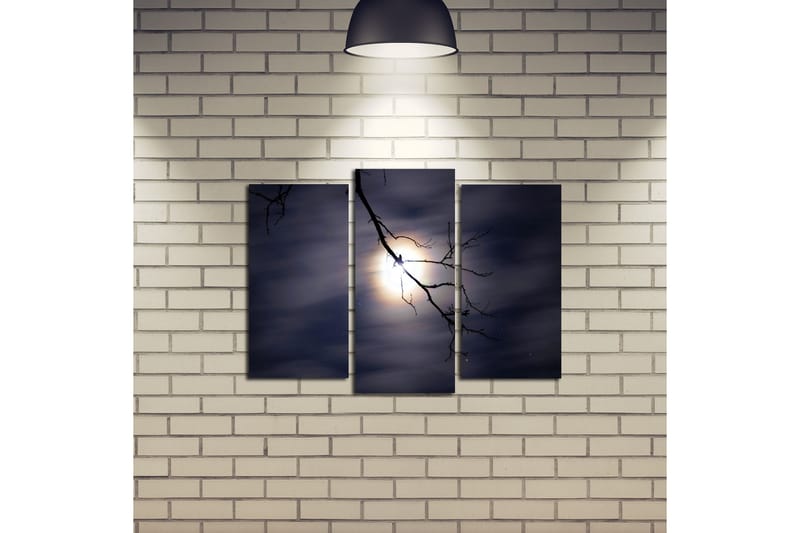 Canvasbilde Dekorativ 3 Deler - Flerfarget - Interiør - Maleri & posters - Lerretsbilder