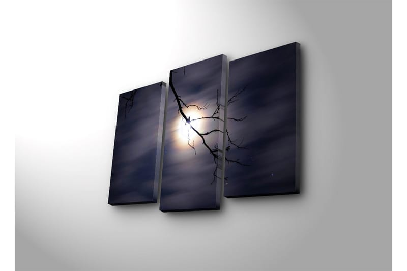 Canvasbilde Dekorativ 3 Deler - Flerfarget - Interiør - Maleri & posters - Lerretsbilder