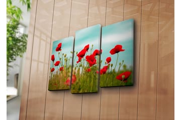 Canvasbilde Dekorativ 3 Deler - Flerfarget - Interiør - Maleri & posters - Lerretsbilder