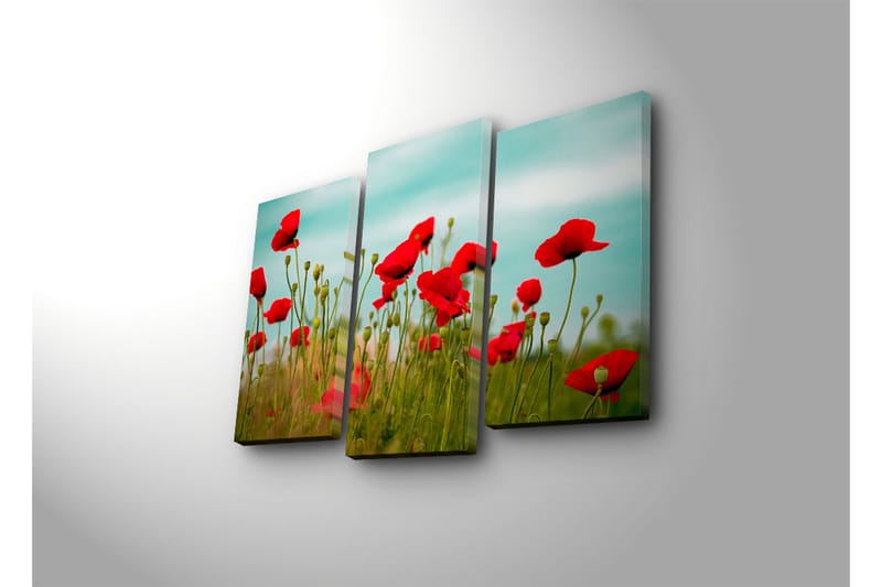 Canvasbilde Dekorativ 3 Deler - Flerfarget - Interiør - Maleri & posters - Lerretsbilder