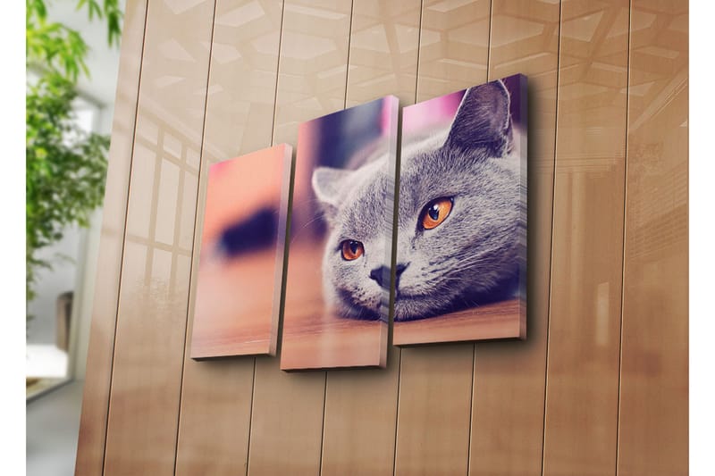 Canvasbilde Dekorativ 3 Deler - Flerfarget - Interiør - Maleri & posters - Lerretsbilder