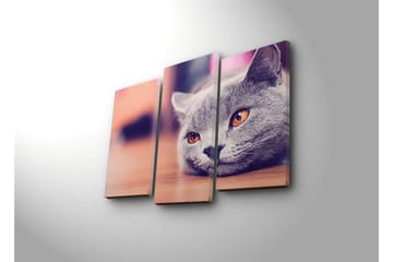 Canvasbilde Dekorativ 3 Deler - Flerfarget - Interiør - Maleri & posters - Lerretsbilder