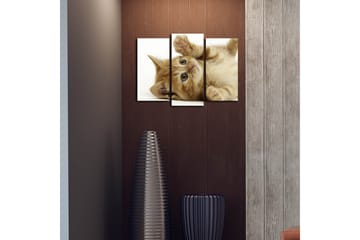 Canvasbilde Dekorativ 3 Deler - Flerfarget - Interiør - Maleri & posters - Lerretsbilder