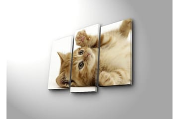 Canvasbilde Dekorativ 3 Deler - Flerfarget - Interiør - Maleri & posters - Lerretsbilder