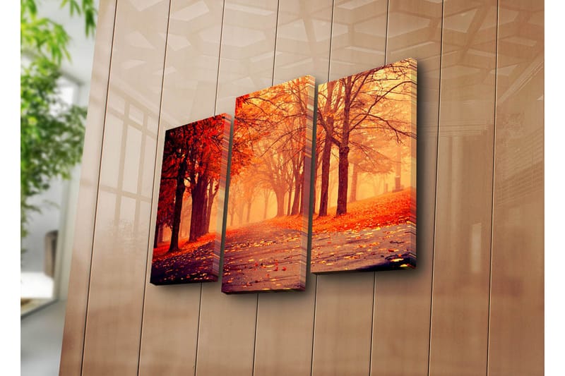 Canvasbilde Dekorativ 3 Deler - Flerfarget - Interiør - Maleri & posters - Lerretsbilder
