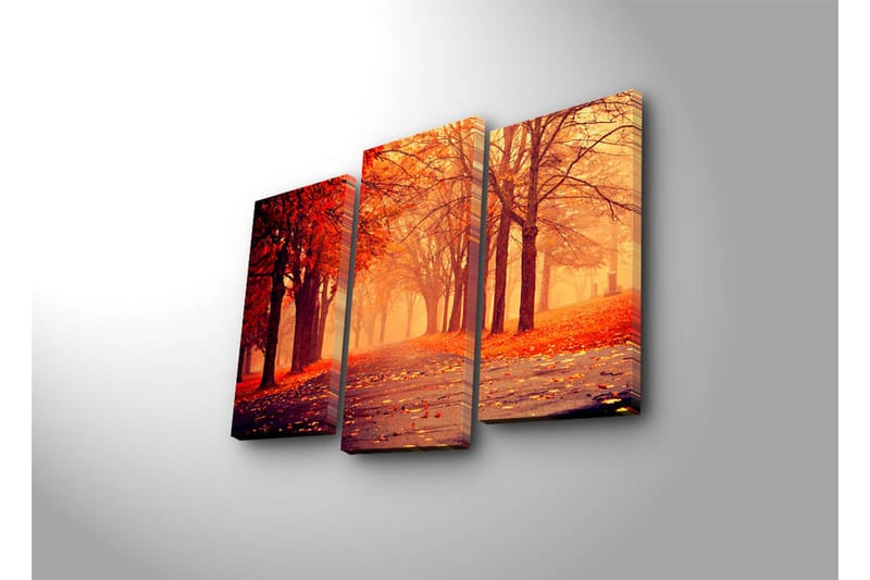 Canvasbilde Dekorativ 3 Deler - Flerfarget - Interiør - Maleri & posters - Lerretsbilder