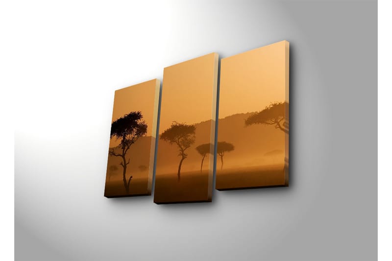 Canvasbilde Dekorativ 3 Deler - Flerfarget - Interiør - Maleri & posters - Lerretsbilder