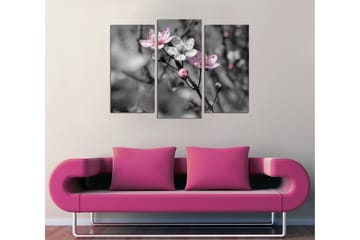 Canvasbilde Dekorativ 3 Deler - Flerfarget - Interiør - Maleri & posters - Lerretsbilder