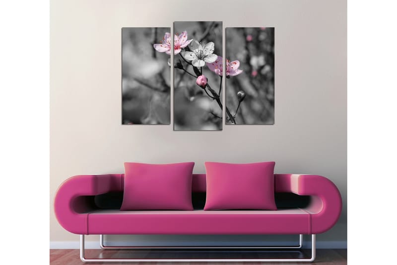Canvasbilde Dekorativ 3 Deler - Flerfarget - Interiør - Maleri & posters - Lerretsbilder