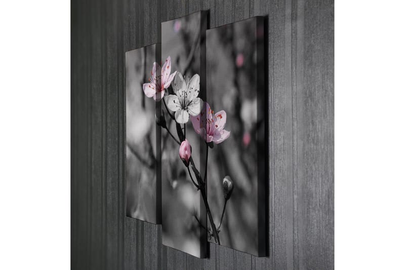 Canvasbilde Dekorativ 3 Deler - Flerfarget - Interiør - Maleri & posters - Lerretsbilder