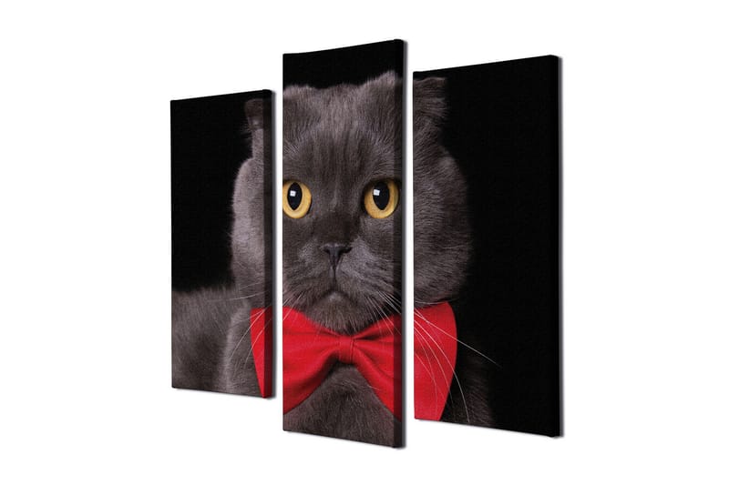 Canvasbilde Dekorativ 3 Deler - Flerfarget - Interiør - Maleri & posters - Lerretsbilder