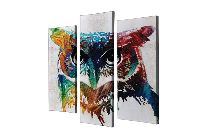 Canvasbilde Dekorativ 3 Deler - Flerfarget - Interiør - Maleri & posters - Lerretsbilder