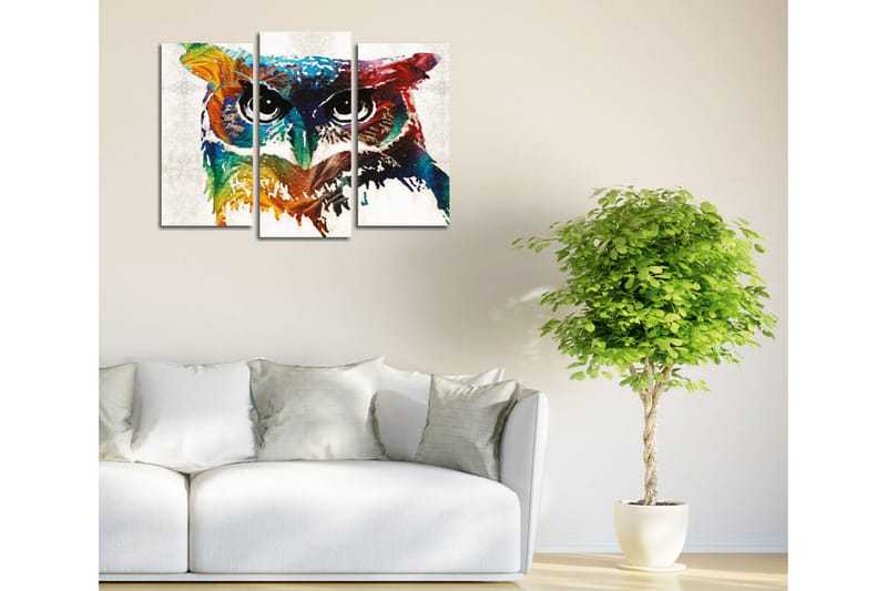 Canvasbilde Dekorativ 3 Deler - Flerfarget - Interiør - Maleri & posters - Lerretsbilder