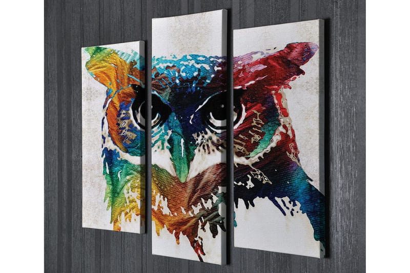 Canvasbilde Dekorativ 3 Deler - Flerfarget - Interiør - Maleri & posters - Lerretsbilder
