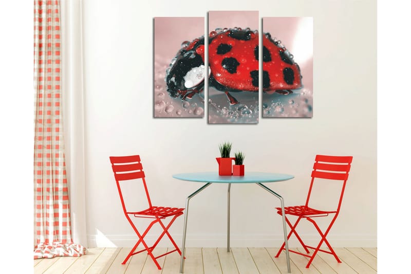 Canvasbilde Dekorativ 3 Deler - Flerfarget - Interiør - Maleri & posters - Lerretsbilder