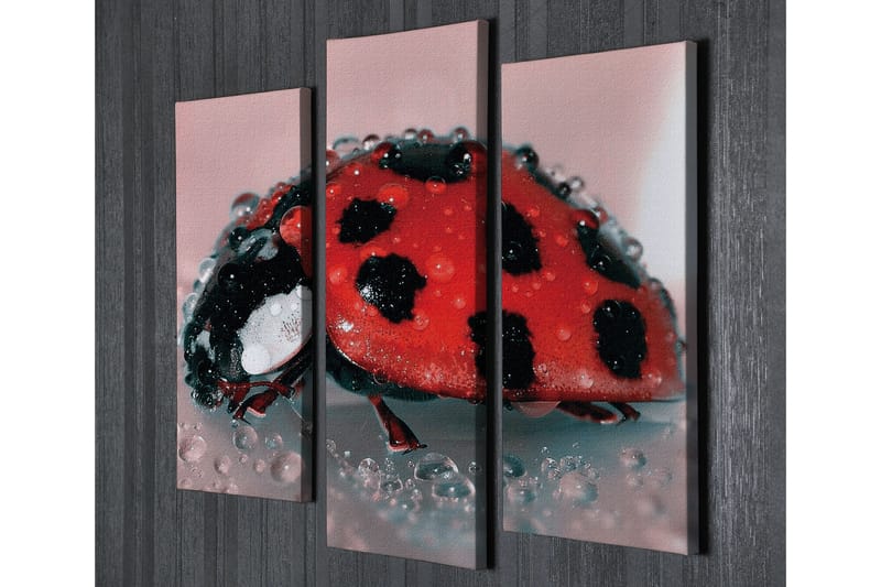 Canvasbilde Dekorativ 3 Deler - Flerfarget - Interiør - Maleri & posters - Lerretsbilder