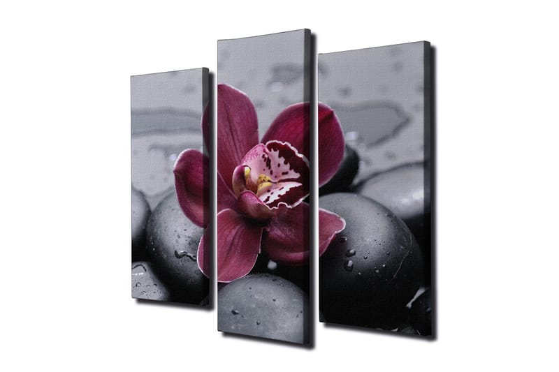 Canvasbilde Dekorativ 3 Deler - Flerfarget - Interiør - Maleri & posters - Lerretsbilder