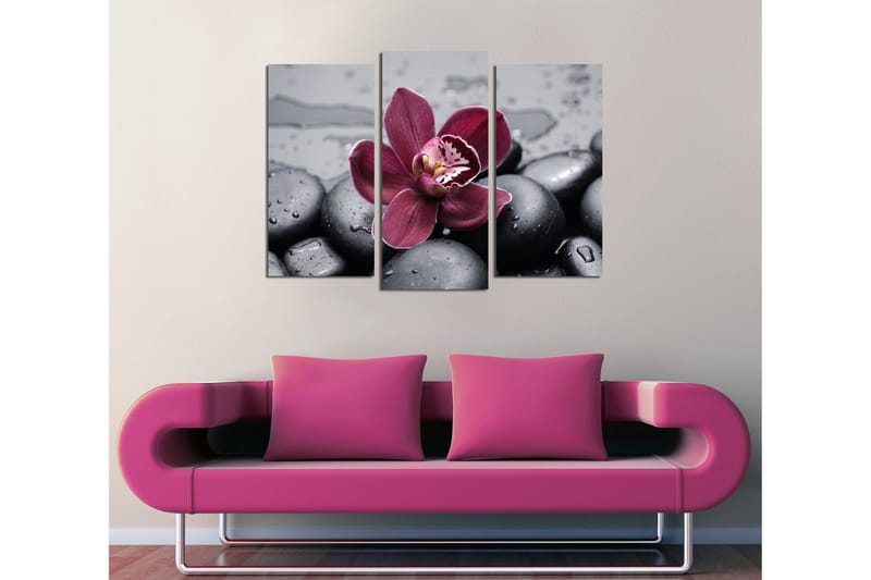 Canvasbilde Dekorativ 3 Deler - Flerfarget - Interiør - Maleri & posters - Lerretsbilder