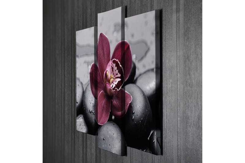 Canvasbilde Dekorativ 3 Deler - Flerfarget - Interiør - Maleri & posters - Lerretsbilder