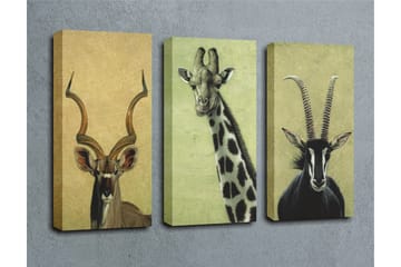 Canvasbilde Dekorativ 3 Deler - Flerfarget - Interiør - Maleri & posters - Lerretsbilder