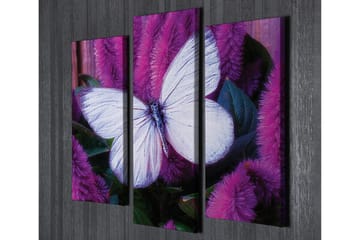 Canvasbilde Dekorativ 3 Deler - Flerfarget - Interiør - Maleri & posters - Lerretsbilder